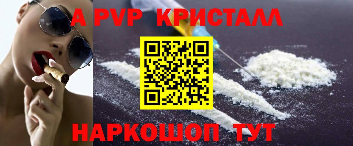 Альфа ПВП СК КРИС Сыктывкар