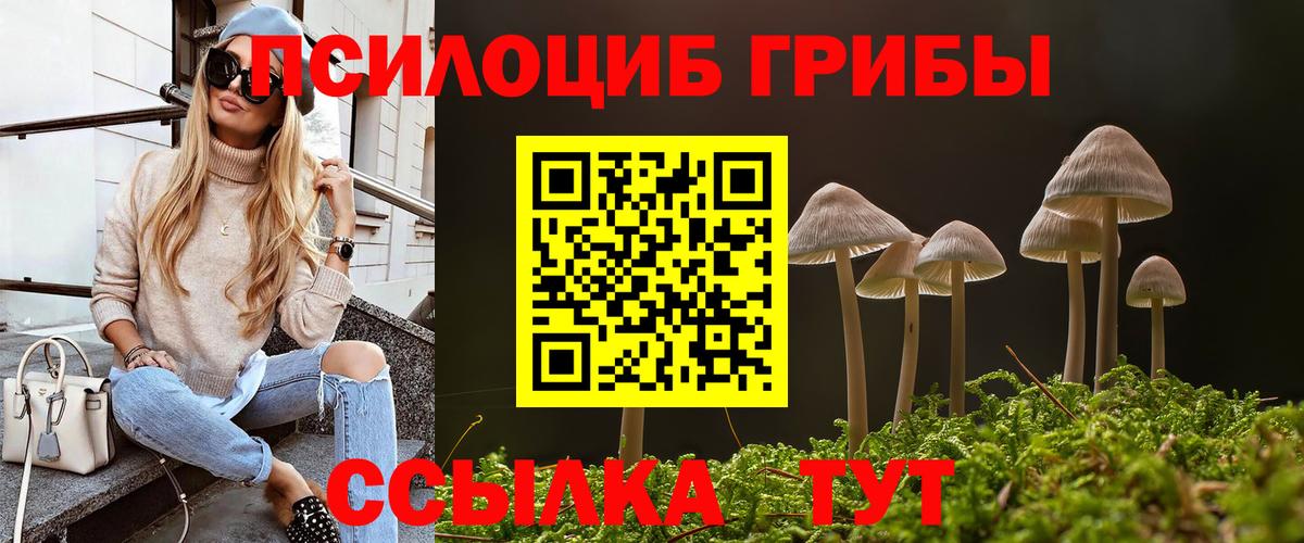 Галлюциногенные грибы MAGIC MUSHROOMS Сыктывкар